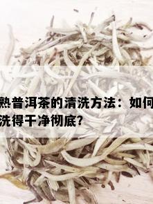 熟普洱茶的清洗方法：如何洗得干净彻底？