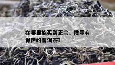 在哪里能买到正宗、质量有保障的普洱茶？