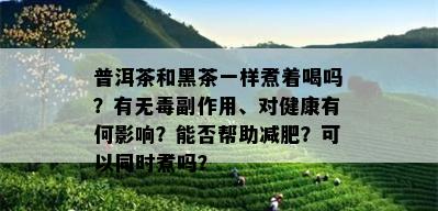 普洱茶和黑茶一样煮着喝吗？有无副作用、对健康有何影响？能否帮助减肥？可以同时煮吗？