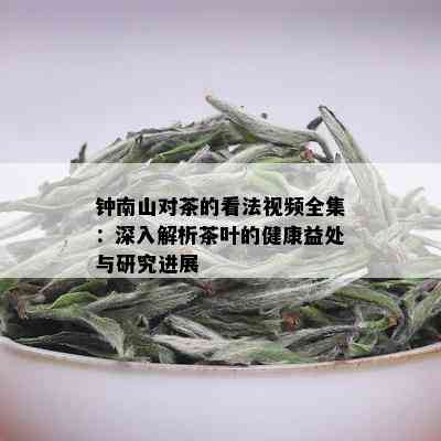 钟南山对茶的看法视频全集：深入解析茶叶的健康益处与研究进展