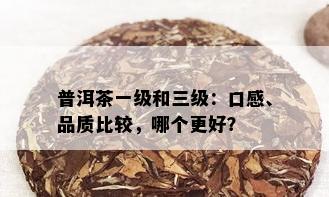 普洱茶一级和三级：口感、品质比较，哪个更好？