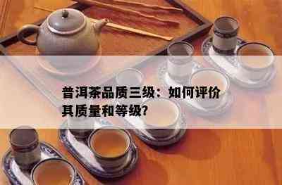 普洱茶品质三级：如何评价其质量和等级？