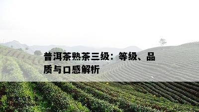 普洱茶熟茶三级：等级、品质与口感解析