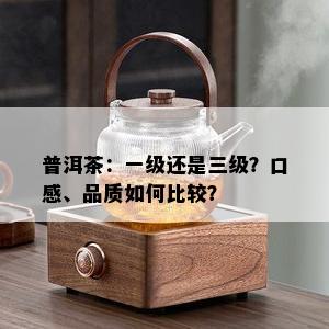 普洱茶：一级还是三级？口感、品质如何比较？