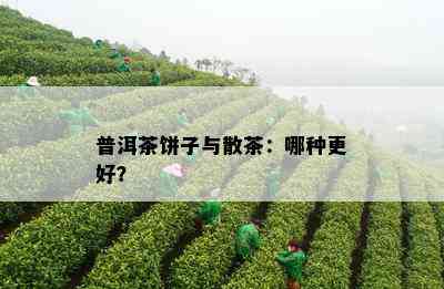 普洱茶饼子与散茶：哪种更好？