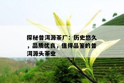 探秘普洱源茶厂：历史悠久，品质优良，值得品鉴的普洱源头茶业