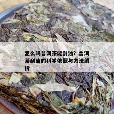 怎么喝普洱茶能刮油？普洱茶刮油的科学依据与方法解析