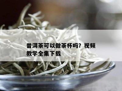 普洱茶可以做茶杯吗？视频教学全集下载