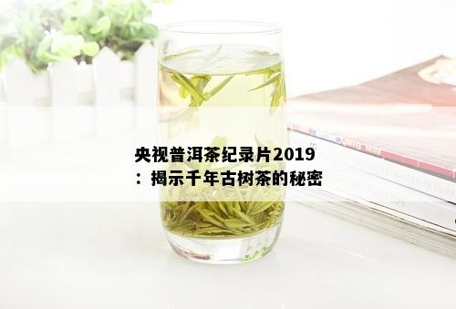 央视普洱茶纪录片2019：揭示千年古树茶的秘密