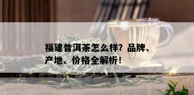 福建普洱茶怎么样？品牌、产地、价格全解析！