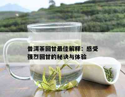 普洱茶回甘更佳解释：感受强烈回甘的秘诀与体验