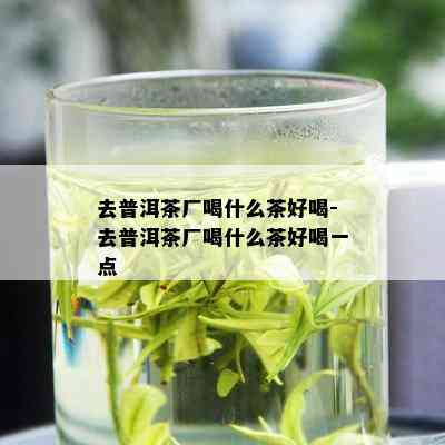 去普洱茶厂喝什么茶好喝-去普洱茶厂喝什么茶好喝一点