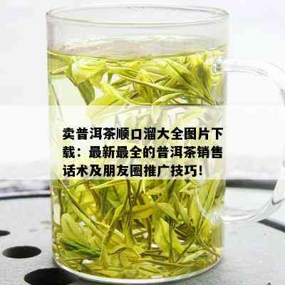 卖普洱茶顺口溜大全图片下载：最新最全的普洱茶销售话术及朋友圈推广技巧！