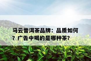 马云普洱茶品牌：品质如何？广告中喝的是哪种茶？