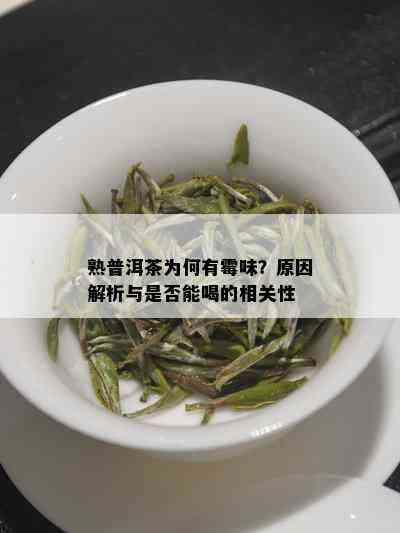 熟普洱茶为何有霉味？原因解析与是否能喝的相关性