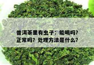 普洱茶里有虫子：能喝吗？正常吗？处理方法是什么？