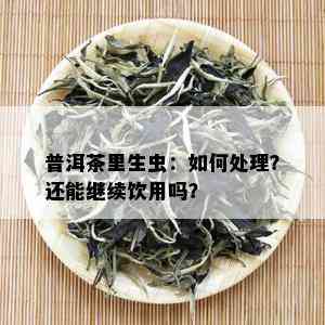 普洱茶里生虫：如何处理？还能继续饮用吗？