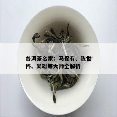 普洱茶名家：马保有、陈世怀、吴雄等大师全解析