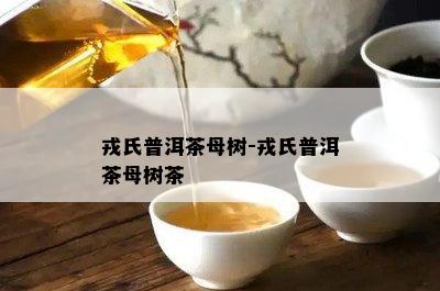 戎氏普洱茶母树-戎氏普洱茶母树茶