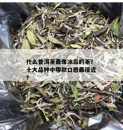 什么普洱茶最像冰岛的茶？十大品种中哪款口感最接近？