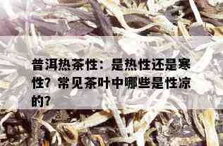 普洱热茶性：是热性还是寒性？常见茶叶中哪些是性凉的？