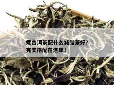 煮普洱茶配什么减脂茶好？完美搭配在这里！