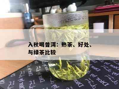 入秋喝普洱：熟茶、好处、与绿茶比较