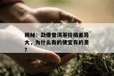 揭秘：勐傣普洱茶价格差异大，为什么有的便宜有的贵？