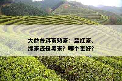 大益普洱茶熟茶：是红茶、绿茶还是黑茶？哪个更好？