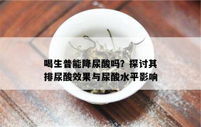 喝生普能降尿酸吗？探讨其排尿酸效果与尿酸水平影响