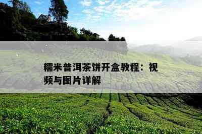 糯米普洱茶饼开盒教程：视频与图片详解