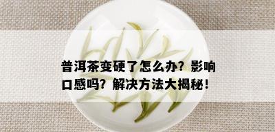 普洱茶变硬了怎么办？影响口感吗？解决方法大揭秘！