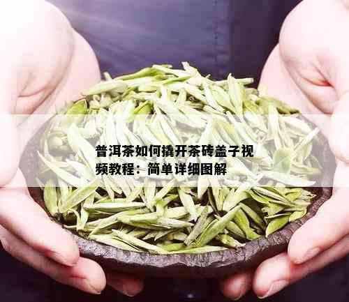 普洱茶如何撬开茶砖盖子视频教程：简单详细图解