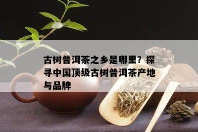 古树普洱茶之乡是哪里？探寻中国顶级古树普洱茶产地与品牌