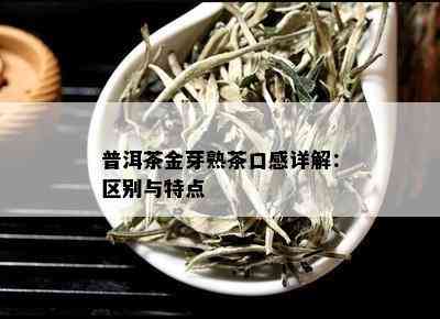 普洱茶金芽熟茶口感详解：区别与特点