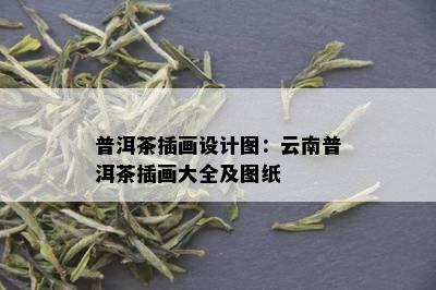 普洱茶插画设计图：云南普洱茶插画大全及图纸