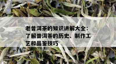 老普洱茶的知识讲解大全：了解普洱茶的历史、制作工艺和品鉴技巧