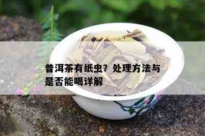 普洱茶有纸虫？处理方法与是否能喝详解