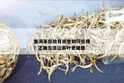 普洱茶存放有纸虫如何处理？正确方法让茶叶更健康