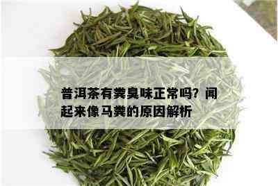 普洱茶有粪臭味正常吗？闻起来像马粪的原因解析