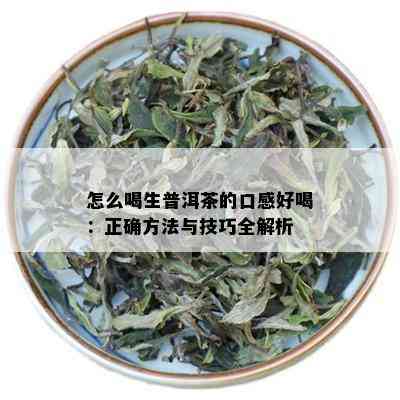 怎么喝生普洱茶的口感好喝：正确方法与技巧全解析