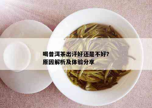 喝普洱茶出汗好还是不好？原因解析及体验分享