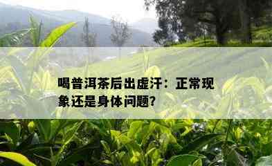 喝普洱茶后出虚汗：正常现象还是身体问题？