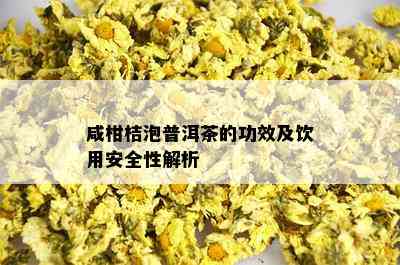 咸柑桔泡普洱茶的功效及饮用安全性解析