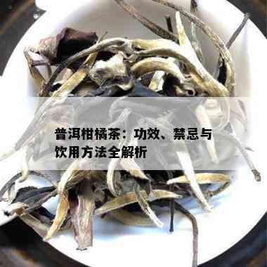 普洱柑橘茶：功效、禁忌与饮用方法全解析