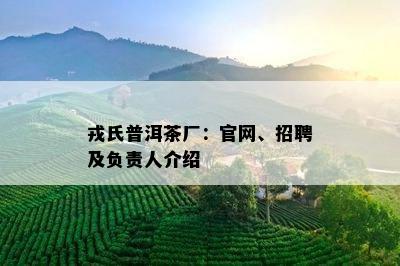 戎氏普洱茶厂：官网、招聘及负责人介绍