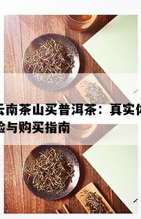 云南茶山买普洱茶：真实体验与购买指南