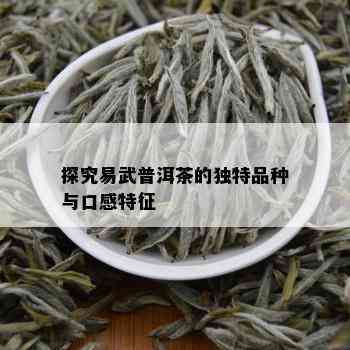 探究易武普洱茶的独特品种与口感特征