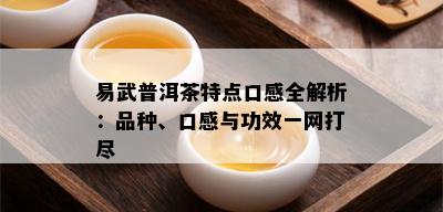 易武普洱茶特点口感全解析：品种、口感与功效一网打尽