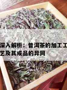 深入解析：普洱茶的加工工艺及其成品的异同